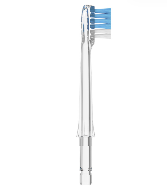 Transparent toothbrush head