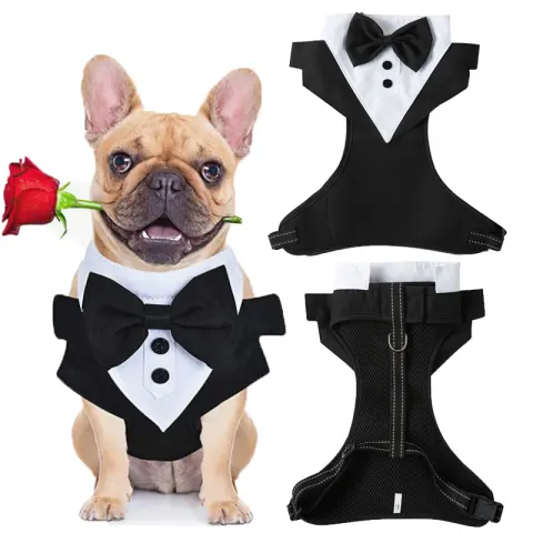 Pet Hand Holding Rope Anti Breaking Loose Suit Integrated