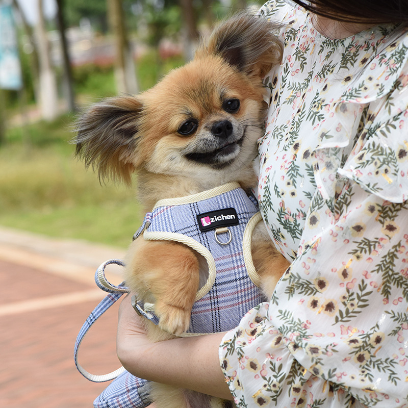 เชือกรัดอกเท็ดดี้ลายตาราง สำหรับสุนัข - เชือกดึงคุณภาพสูง ปลอดภัย สบายตัว เหมาะสำหรับเดินเล่นและฝึกสุนัข