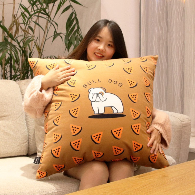 Pillow with core