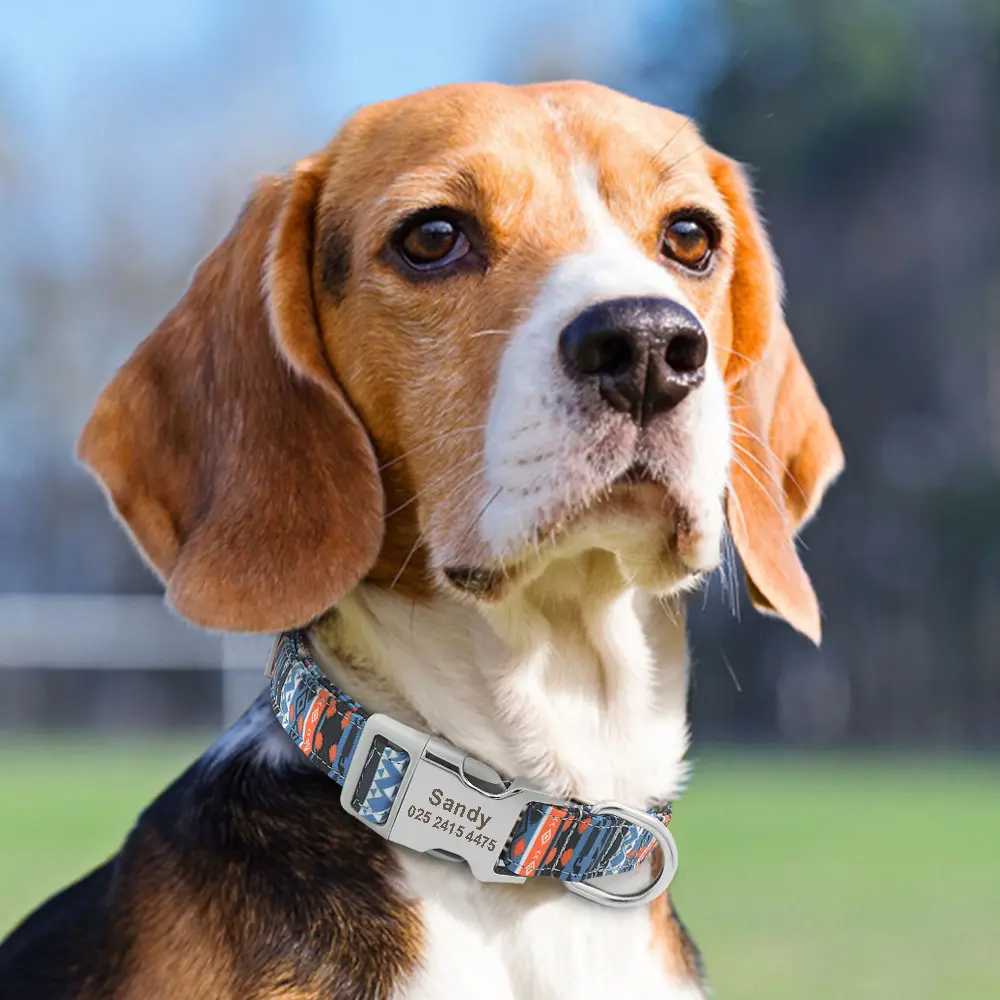 Adjustable Nylon Dog Collar Personalized Dogs Cat