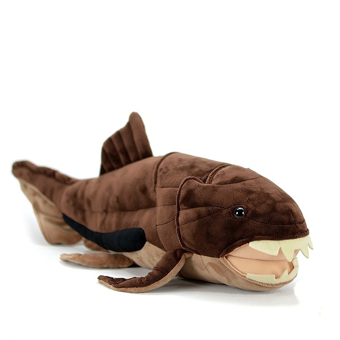 60cm