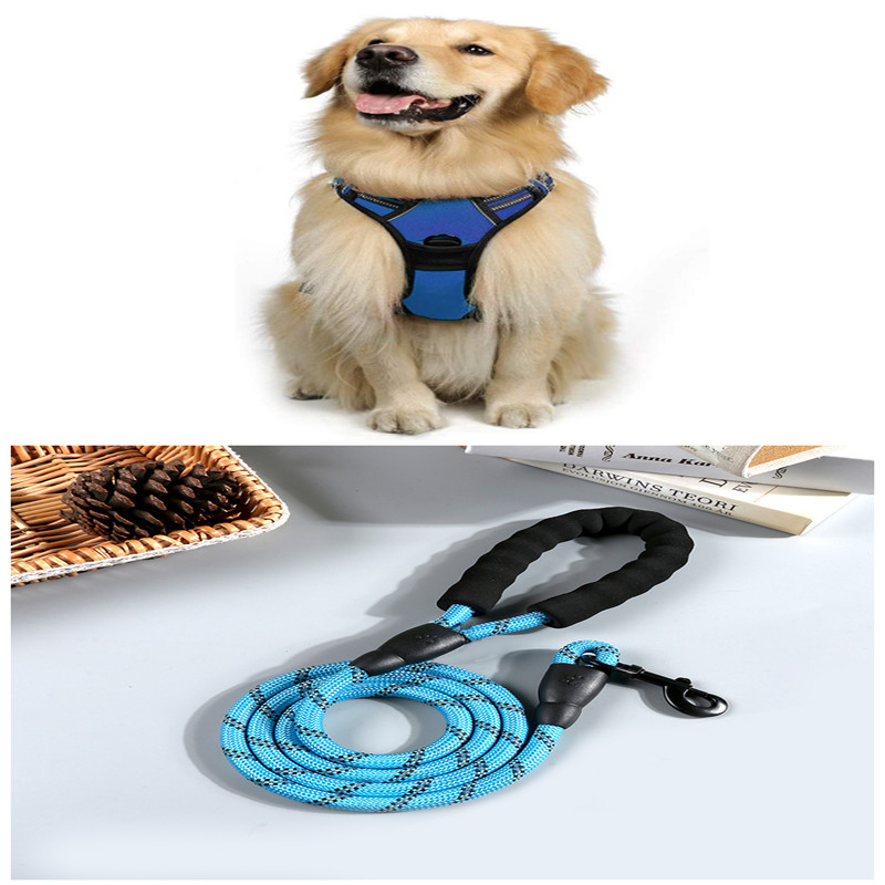 Large Dog Vest Leash For Dogs Blue Set - Shop at LoveMi