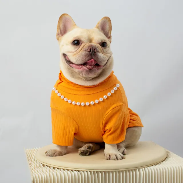 Pet Solid Color Bottoming Shirt High Collar Orange - Shop at LoveMi