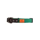 Forest Green Collar