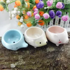Ceramic Cartoon Hedgehog Pig Elephant With Bottom Hole Succulent Flower Pot - Set - View 1