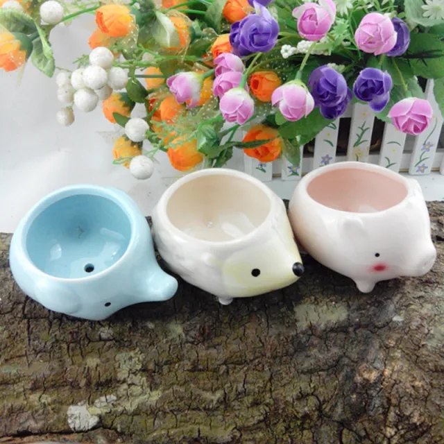 Ceramic Cartoon Hedgehog Pig Elephant With Bottom Hole Succulent Flower Pot Set - Shop at LoveMi