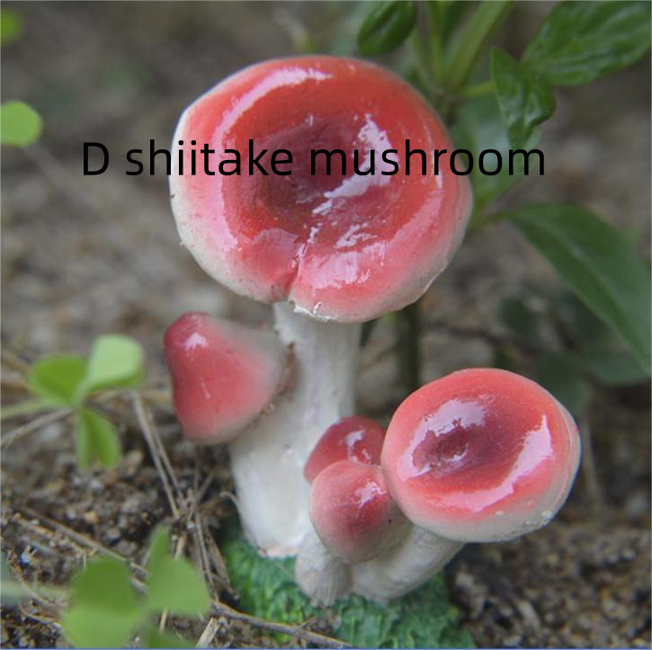 D shiitake mushroom