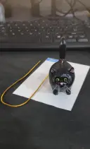 Black Cat