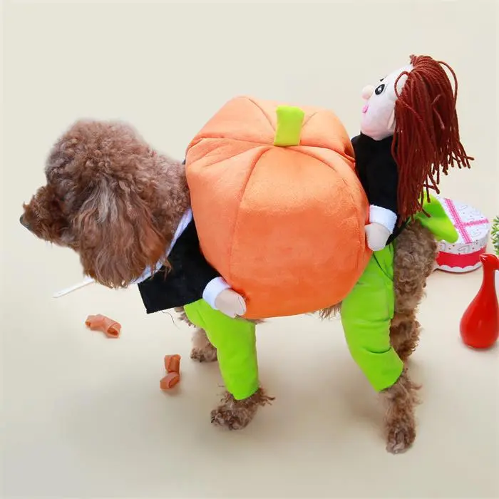 Santa Claus gift box turned into a pet suit - 3D Pumpkin