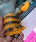 Black And Yellow
