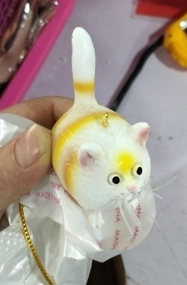 Yellow cat