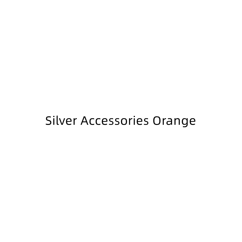 Silver Accessories Orange