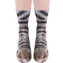 Cat Paw
