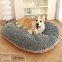 Dog Mat+Bone Pillow
