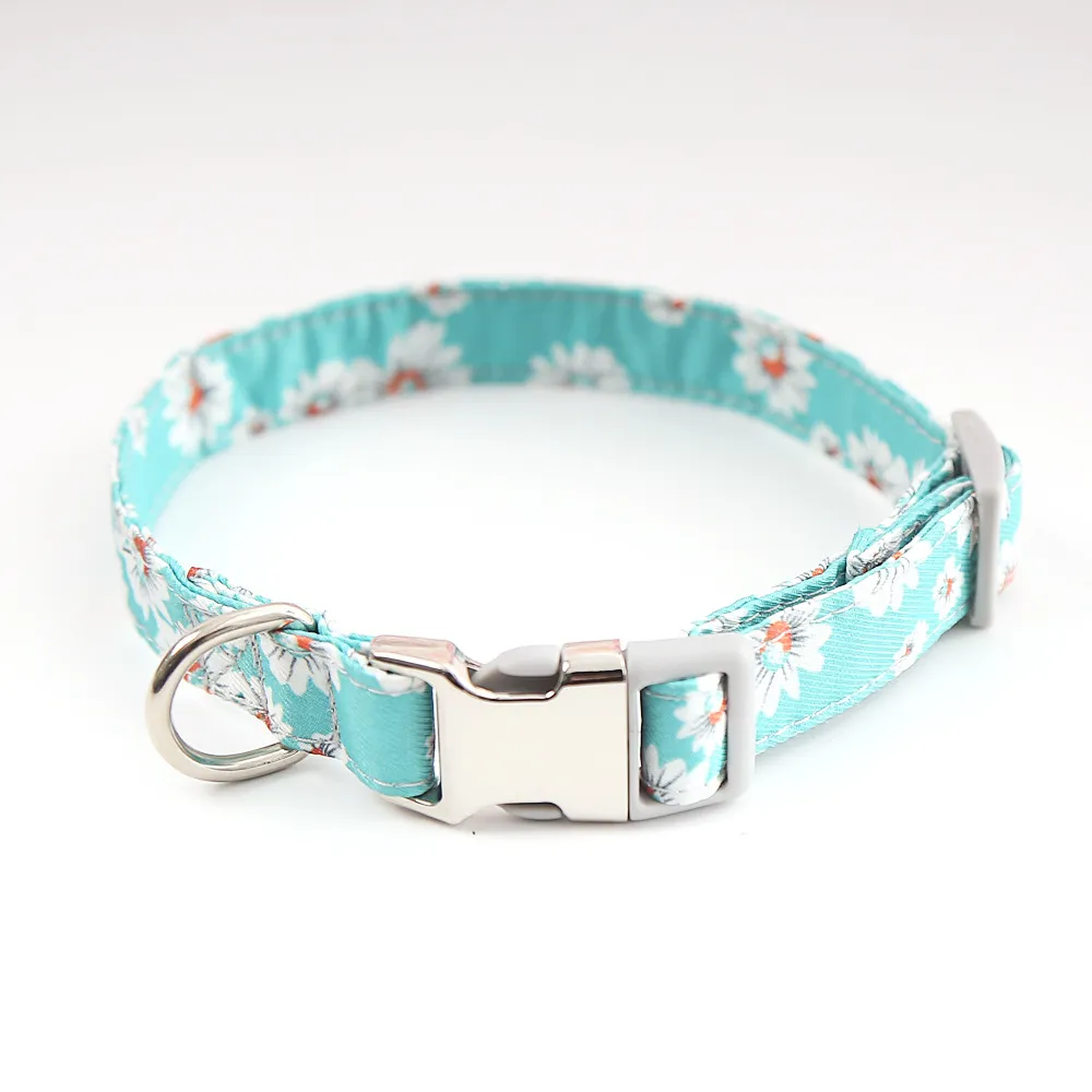 Fashion Cute Simple Pet Dog Collar - Green