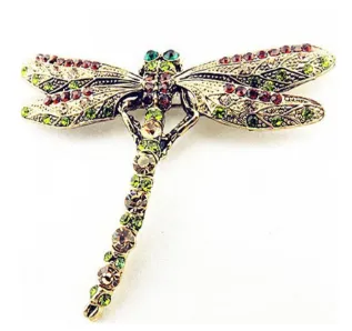 Vintage dragonfly brooch Dragonfly - Shop at LoveMi