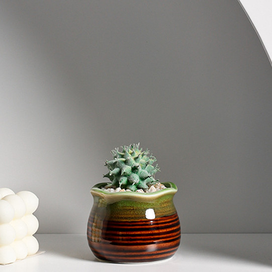 Ceramic Succulent Flowerpot Decoration Decorative