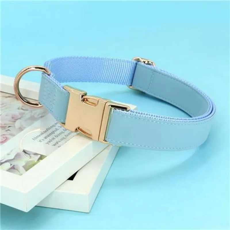 Gold Collar Dog Tag Anti Loss - Water Blue