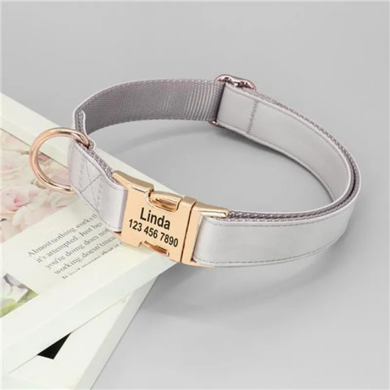 Gold Collar Dog Tag Anti Loss - Silver
