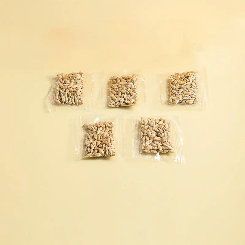 Hydroponic Cat Grass Box Soilless Planting Cat Suit - Cat Grass Seeds 5Bag - View 1
