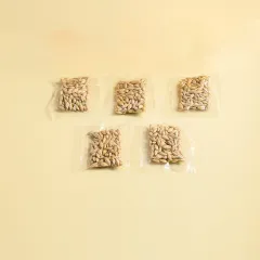 Hydroponic Cat Grass Box Soilless Planting Cat Suit - Cat Grass Seeds 5Bag - View 1