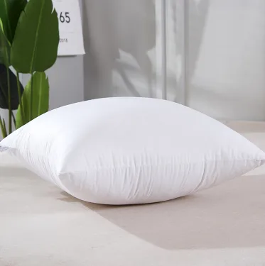 Throw Pillow Sofa Cushion Large Pillow Core 2 Style - Shop at LoveMi