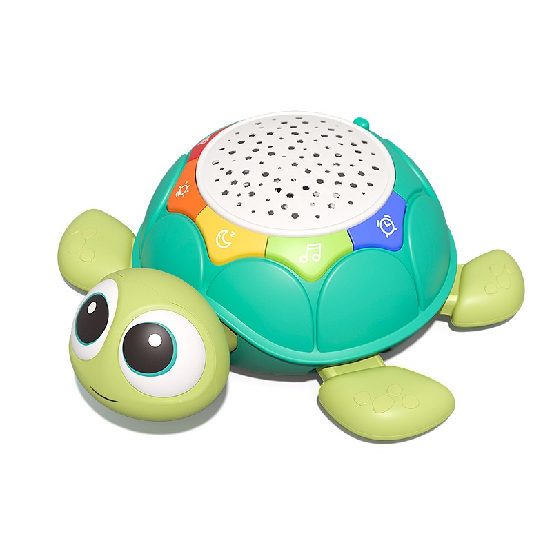 Tortoise remote control versio