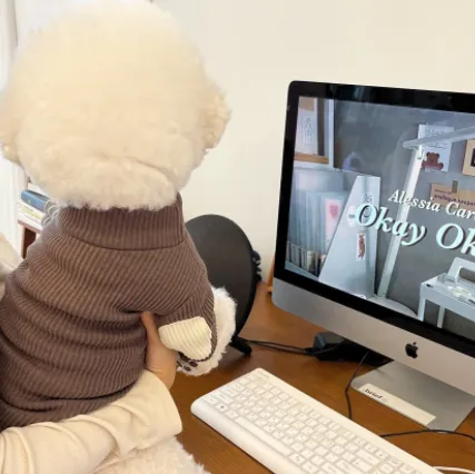 Base Shirt Dog Clothes Autumn Simplicity Clothes Coffee - Shop at LoveMi