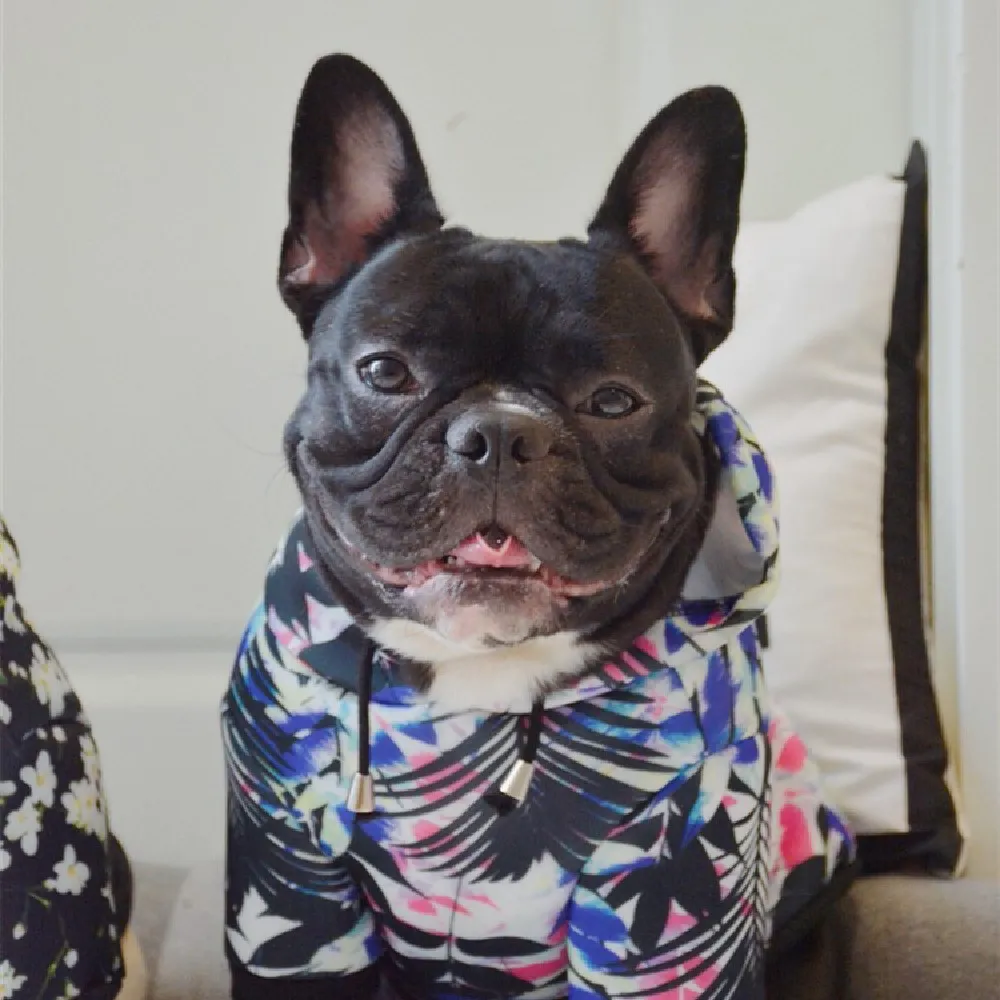 Space Cotton Pet Dog Hoodie Warm Printing Coat - Leaf Style