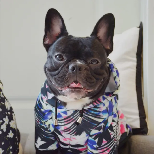 Space Cotton Pet Dog Hoodie Warm Printing Coat Leaf Style - Shop at LoveMi