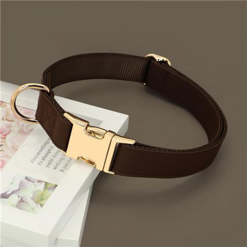 Dog Small Corgi Method Fighting Collar Chocolate - Shop at LoveMi