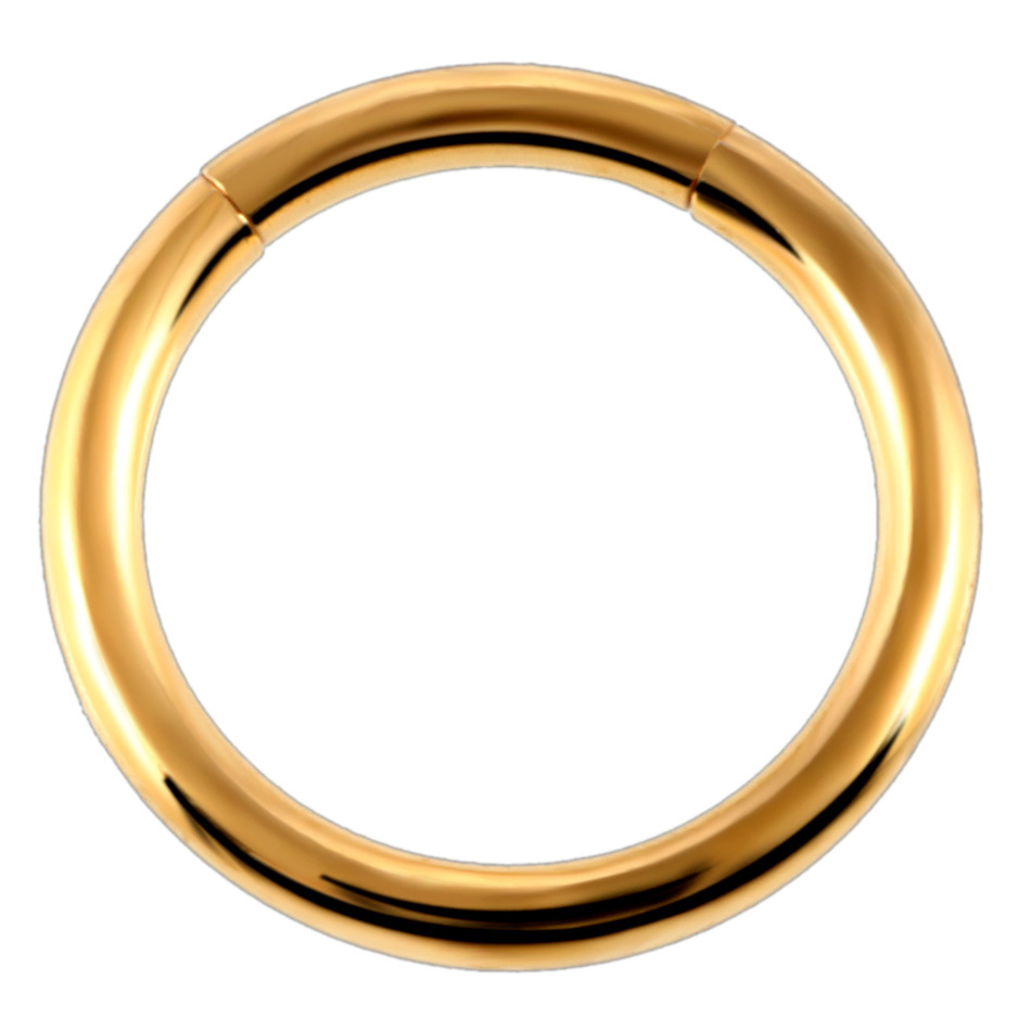Stainless Steel Pierced Nose Ring Interface Ring Closed Ring Seamless Connection Nose Ring Earrings