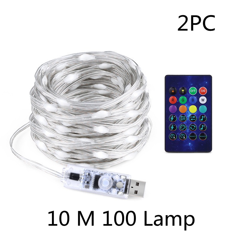 10M 100Lights 2PC