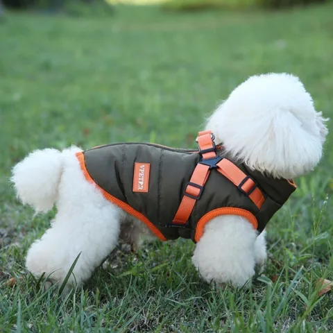 Pet Winter Clothes Plus Velvet Thick Cotton-padded Warm Dog