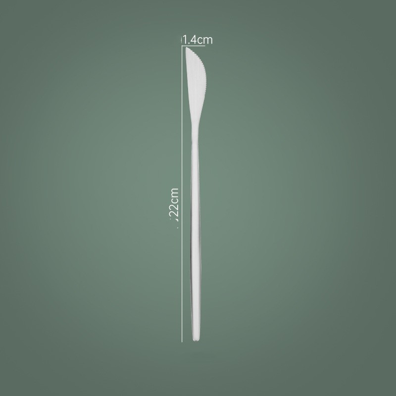 Silver Matte Dinner Knife