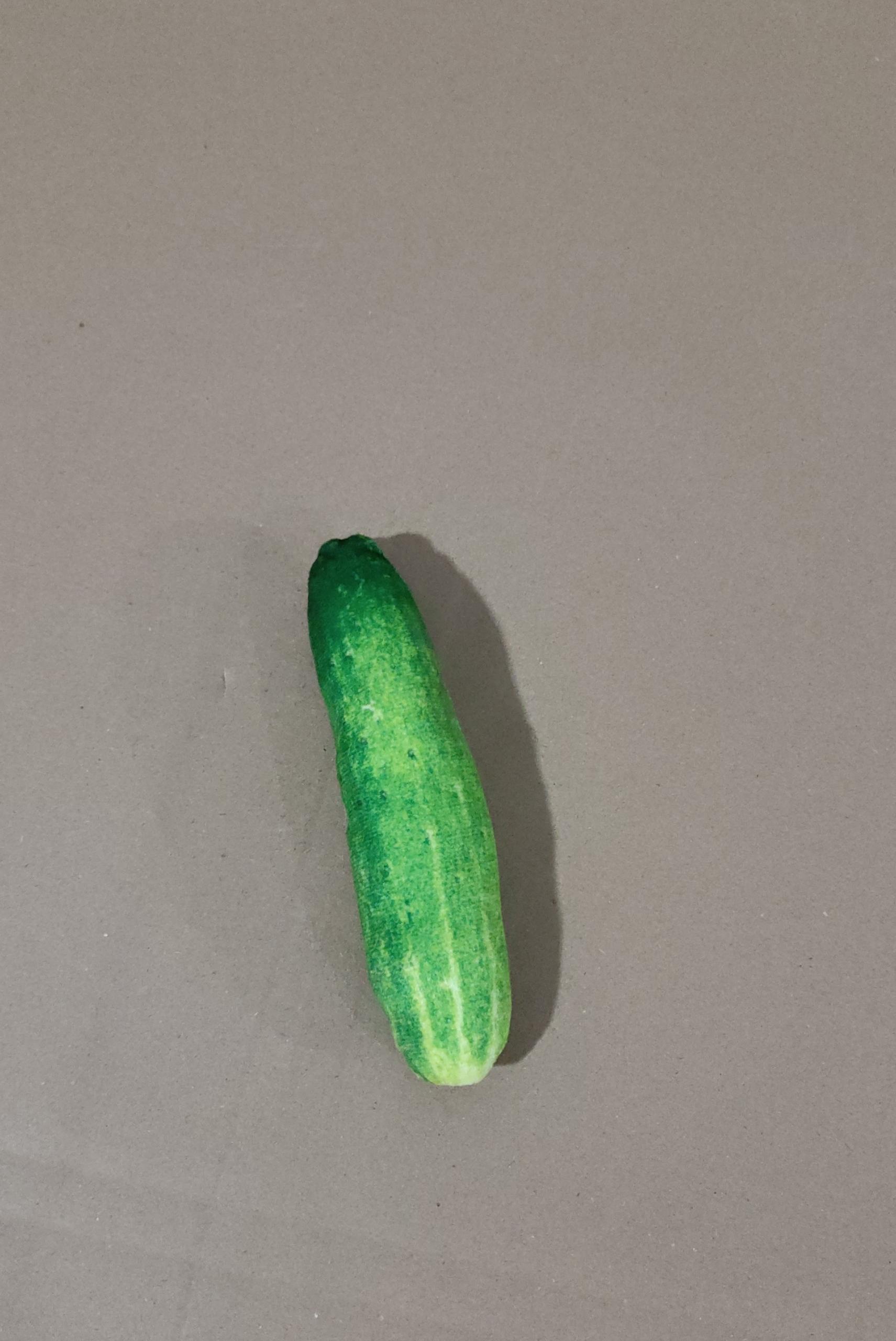 Cucumber