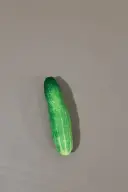 Cucumber