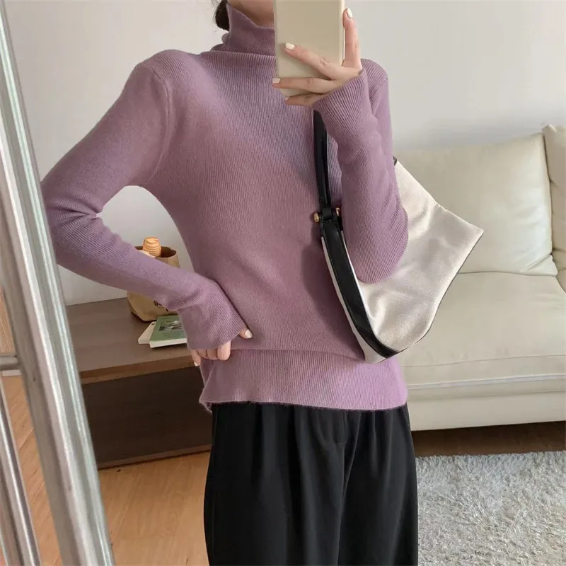 Women's Fashionable Sweater Top - Light Purple