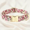 Beige Collar