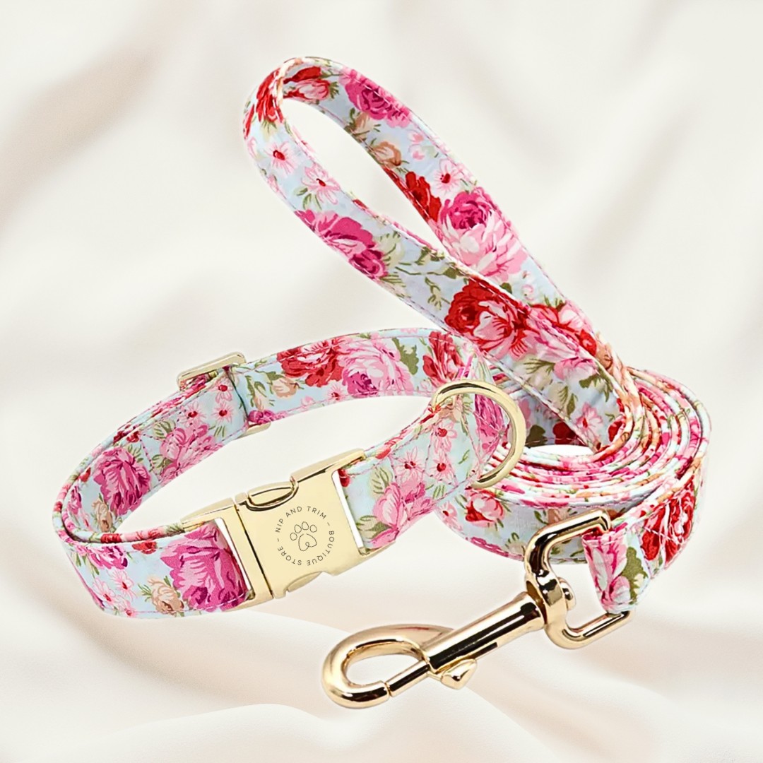 Pink collar leash