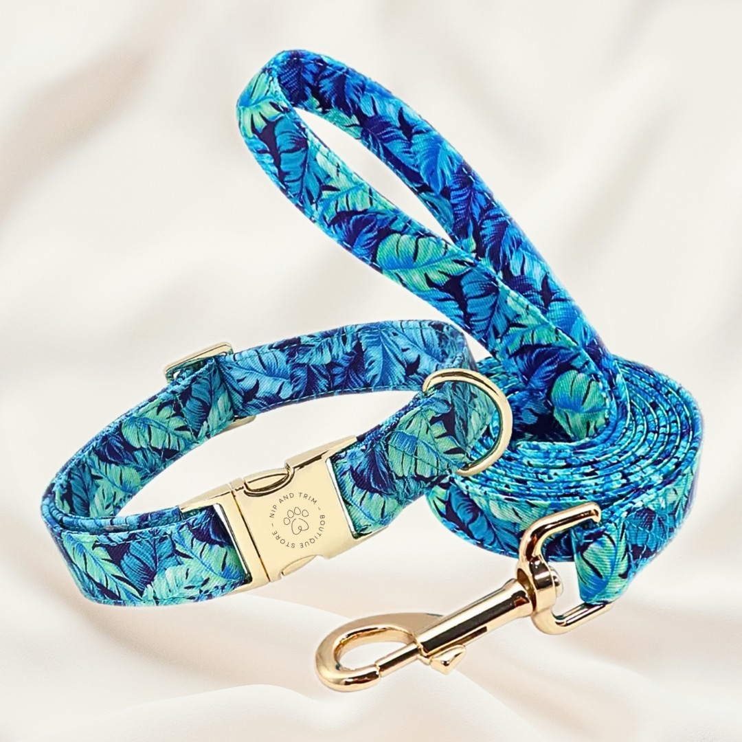 Blue collar leash