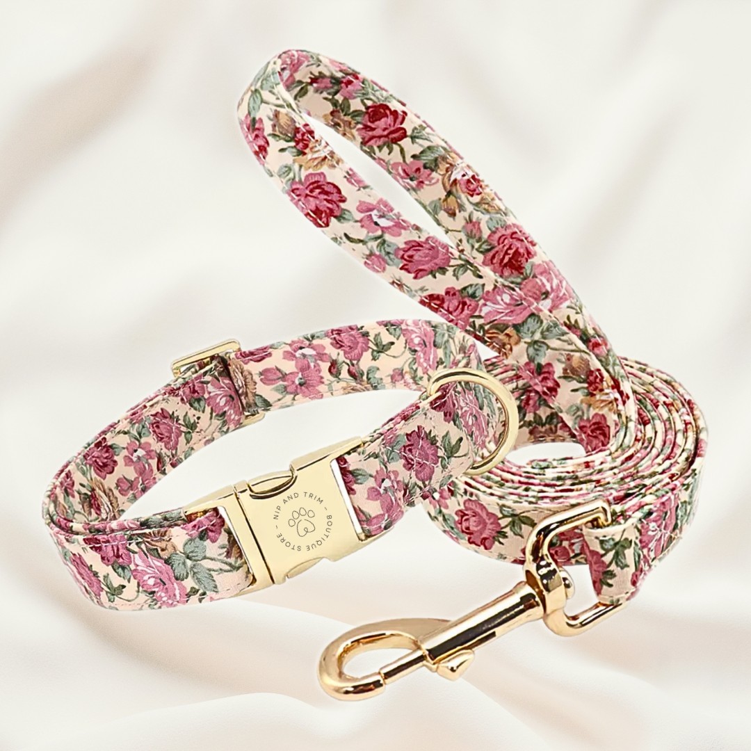 Beige collar leash