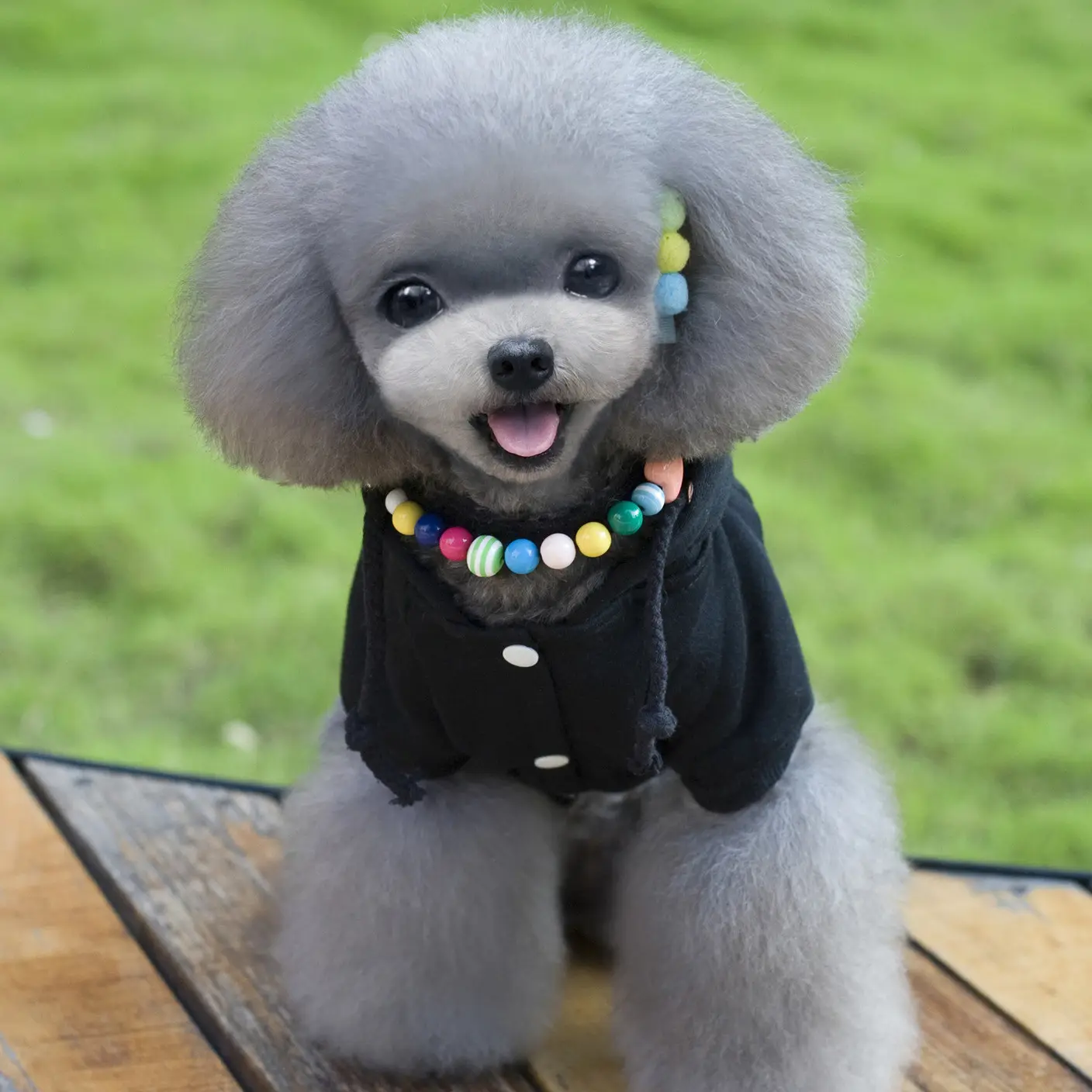 Autumn And Winter Pet Clothes