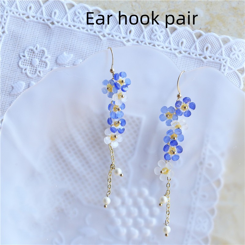 Ear hook pair