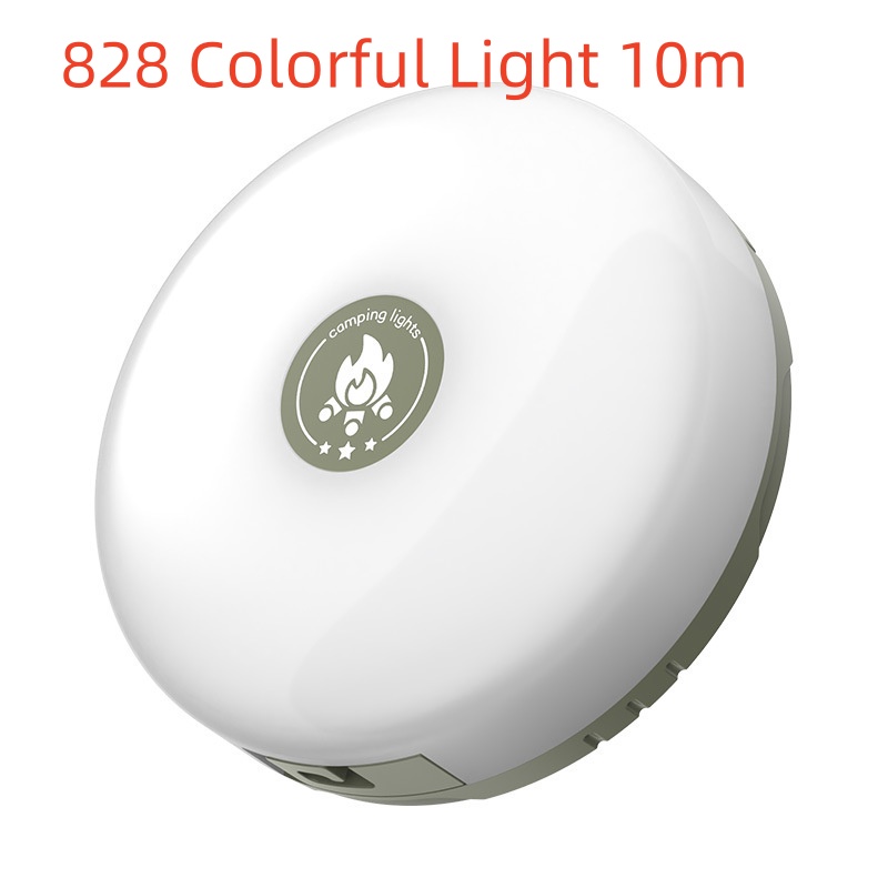 828 Colorful Light 10m