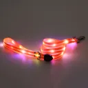 Dog Traction Belt Orange