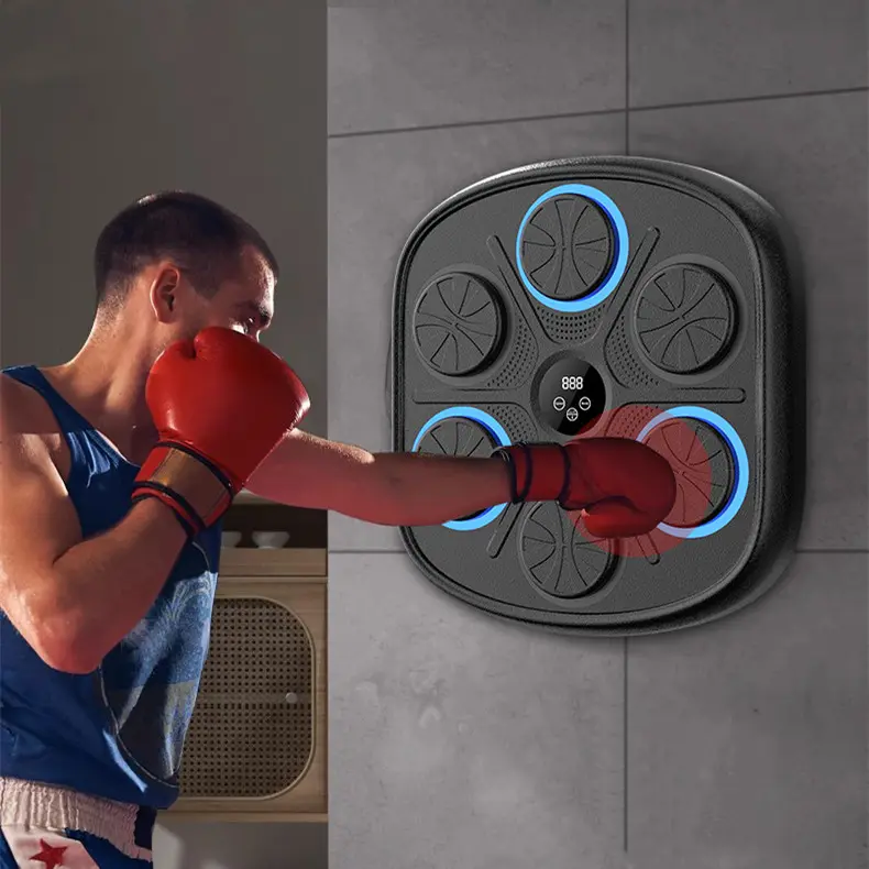 Music Boxing Target Training Wall Fitness Equipment