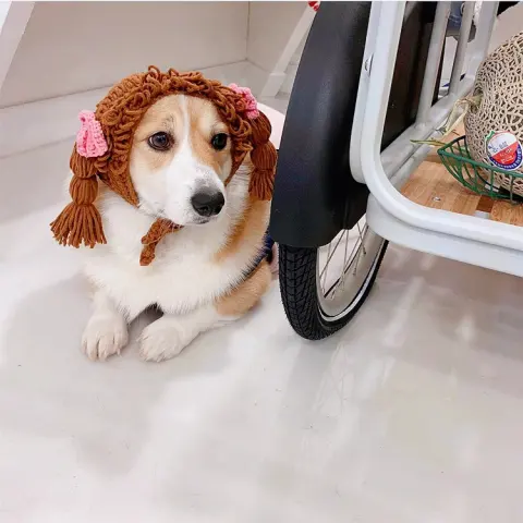 New Pet Hat Cute Style Braid Headgear Spring