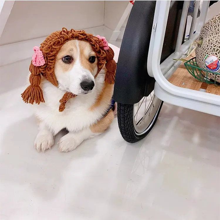 New Pet Hat Cute Style Braid Headgear Spring